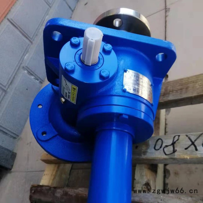 沧州精宏 滚珠丝杠升降机 蜗轮丝杆升降机 SWLD2.5图8