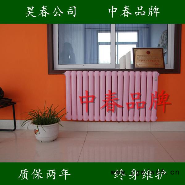 供应  gz206散热器  钢柱散热器   钢二柱散热器图2