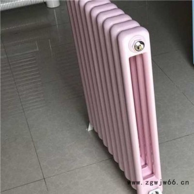 万晨  工程钢二柱暖气片 双水道钢二柱暖气片 超导钢柱暖气片 散热器 发货快 欢迎咨询