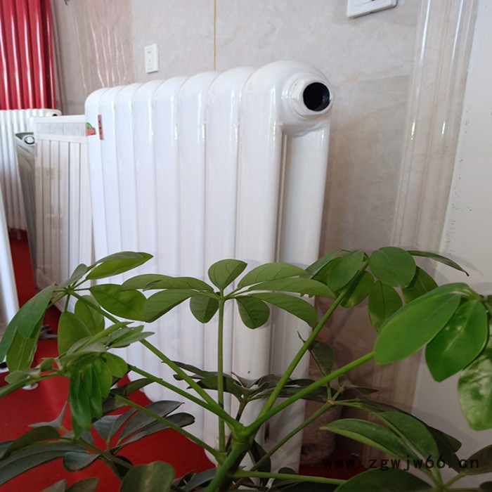 生产暖气片 钢二柱暖气片 钢柱暖气片图2