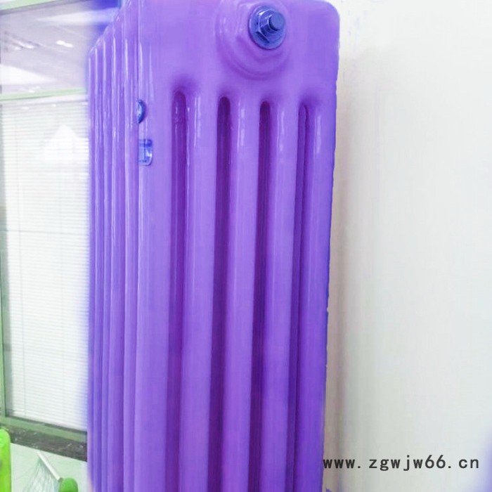 A钢五柱暖气片 钢柱柱形家用水暖散热器 SCGGZ506 QFGZ502来样定制 量大从优详情请咨询客图4