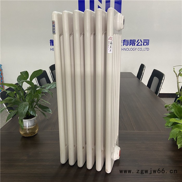 海兰花   钢六柱散热器 工程暖气片 钢六柱暖气片 钢柱散热器图8