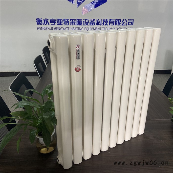 海兰花  gz206散热器 钢柱散热器 钢二柱散热器图6