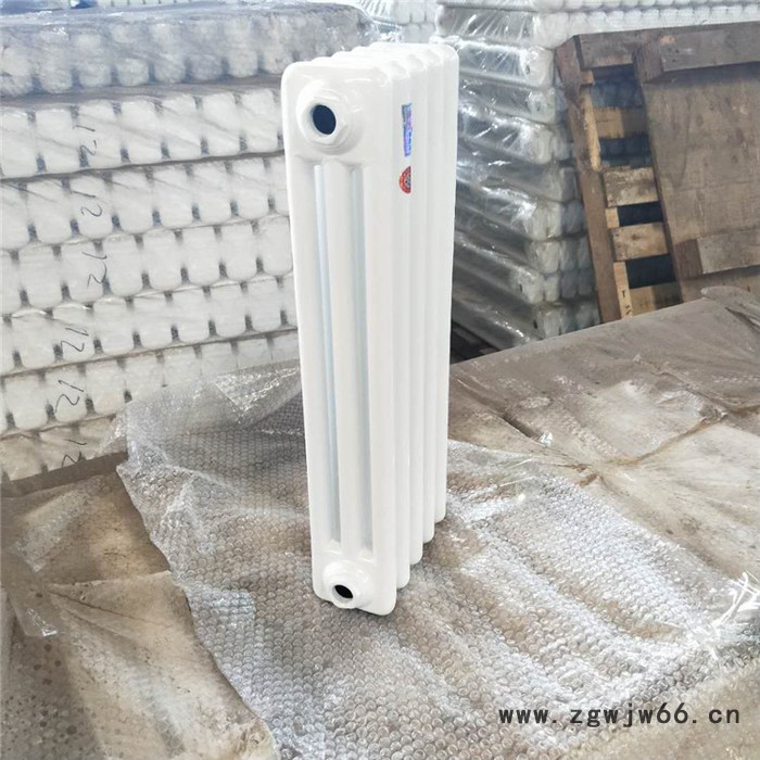 钢三柱暖气片 GZ3-800钢柱暖气片 家用采暖设备 泽臣图4