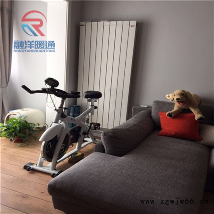 融洋暖通gz206 钢制二柱暖气片 钢制散热器 钢柱管式散热器 家用取暖暖气片 工业暖气片图2