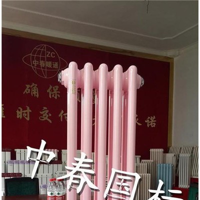 专业供应 中春国标  SCGGZT2-1.2/X-1.0-1600大型钢制柱型散热器生产厂家  昊春公司 钢柱柱型暖气片