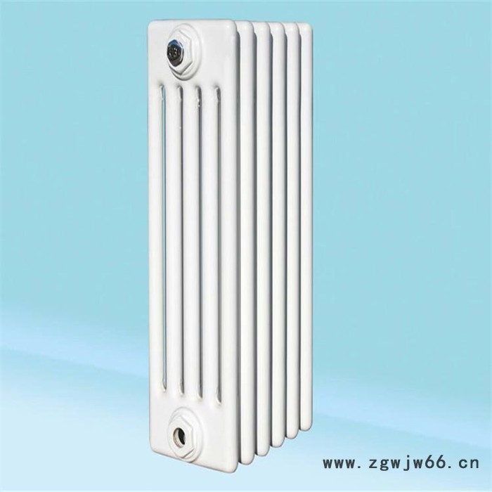 圣兴春 供应 钢制柱形散热器 钢五柱散热器 集体供暖钢柱暖气片图4