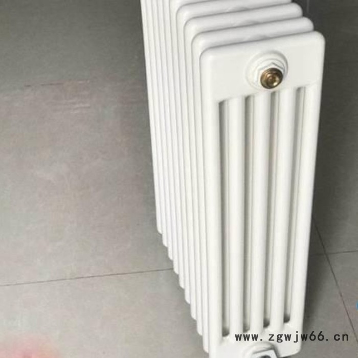 圣兴春 供应 钢制柱形散热器 钢五柱散热器 集体供暖钢柱暖气片图5