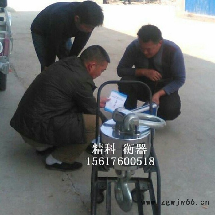 河北精科OCS-10T 无线电子吊秤批发 无线吊钩秤 郑州精科高精度无线电子吊磅厂家图3