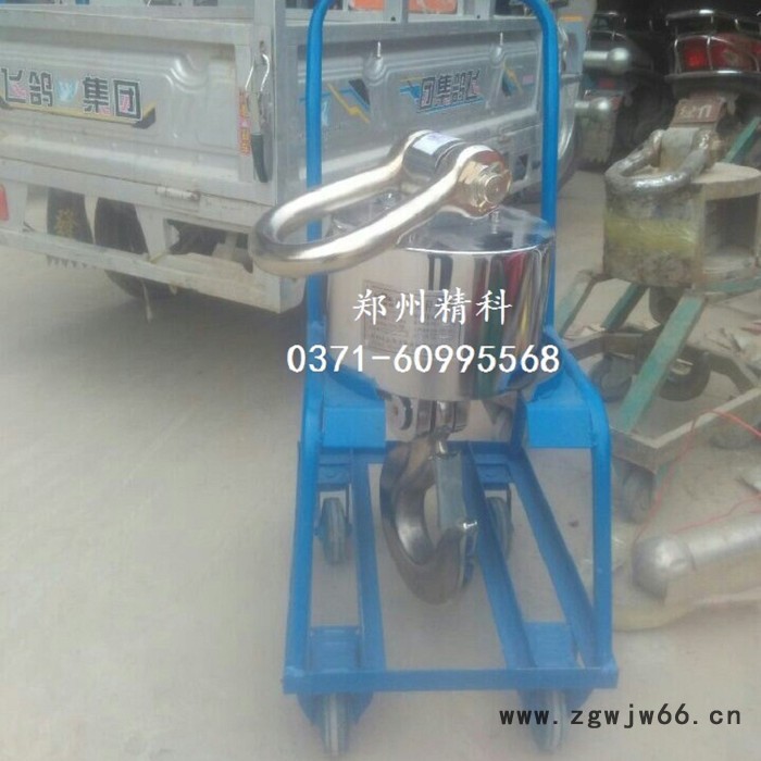 河北精科OCS-10T 无线电子吊秤批发 无线吊钩秤 郑州精科高精度无线电子吊磅厂家图5