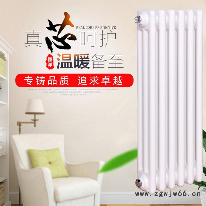 GZ316-1.2型 钢柱型散热器 钢制柱形散热器图2