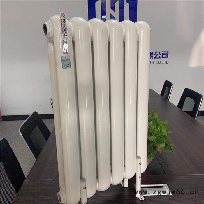 海兰花  钢制多水道暖气片 家用散热器 钢制柱式散热器 钢二柱暖气片 钢柱暖气片价格图2