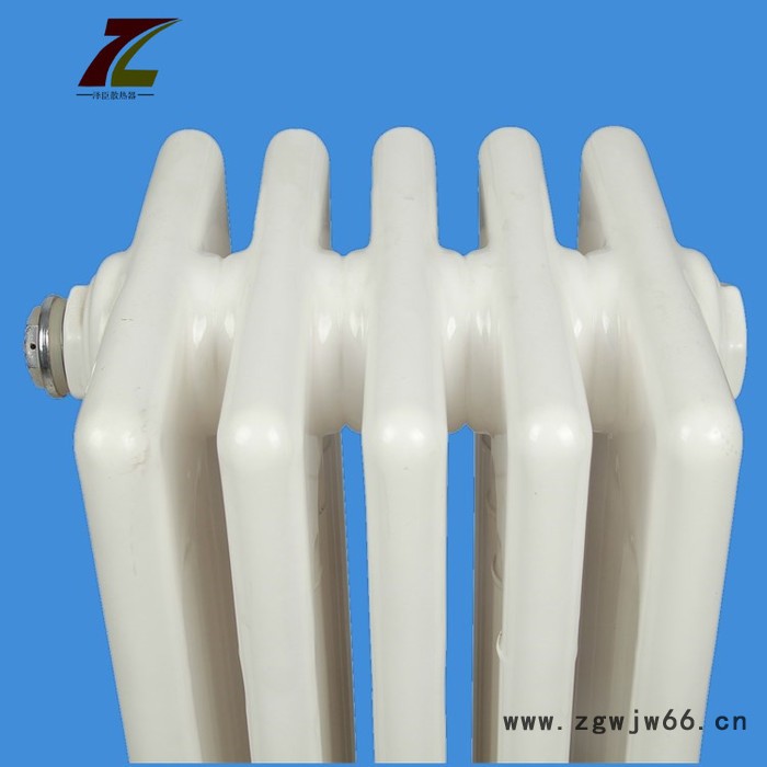 钢六柱散热器 QFGZ606钢柱散热器 水暖散热器 泽臣图5