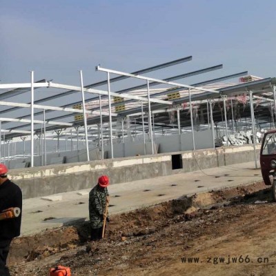 生产厂家订做牧原猪舍钢柱 盈浩钢铁 钢结构猪舍焊接加工