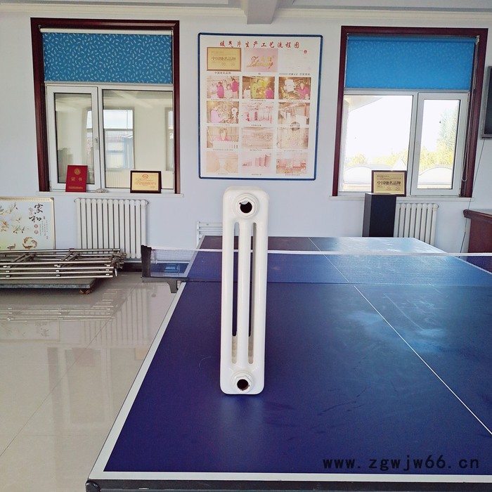 昕信义 壁挂钢三柱暖气片 钢柱暖气片 钢三柱暖气片图5