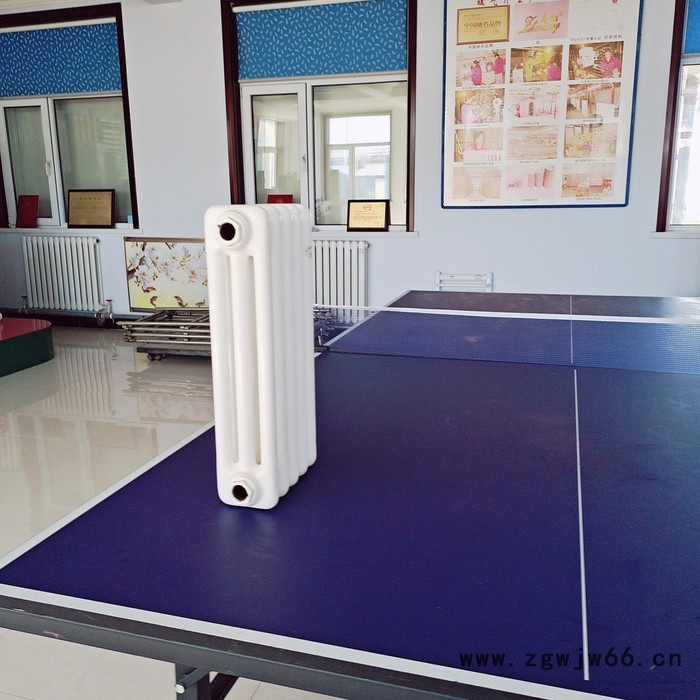 昕信义 壁挂钢三柱暖气片 钢柱暖气片 钢三柱暖气片图2