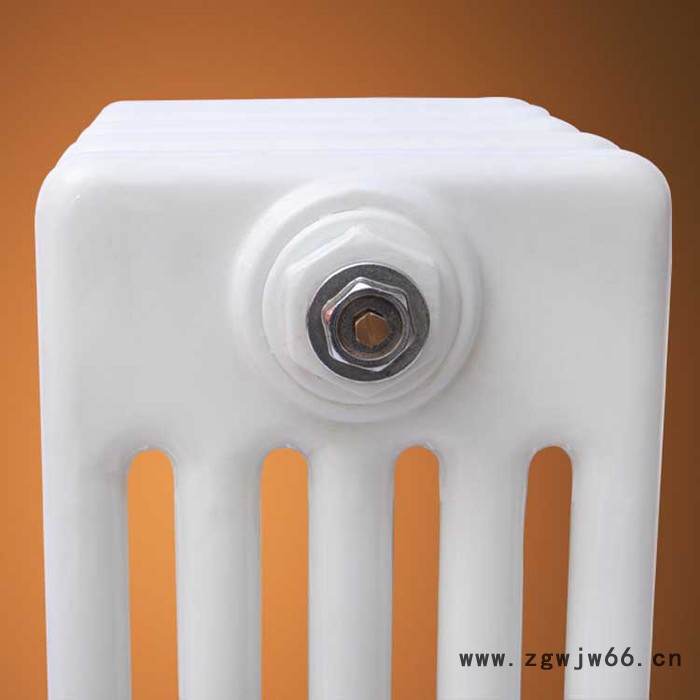 万通盛世 专业销售 钢柱暖气片 钢五柱暖气片 钢制柱暖气片图2