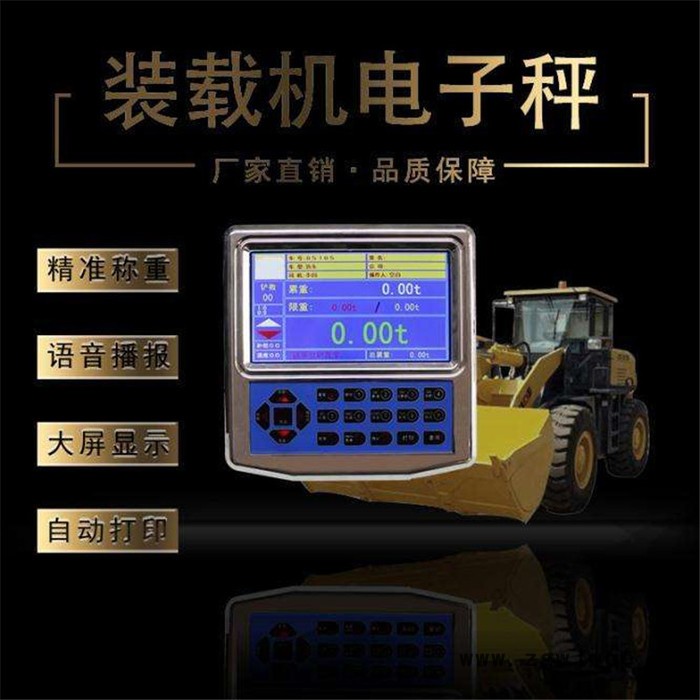 宁力 电子吊钩秤厂家,无线双梁行车秤图3