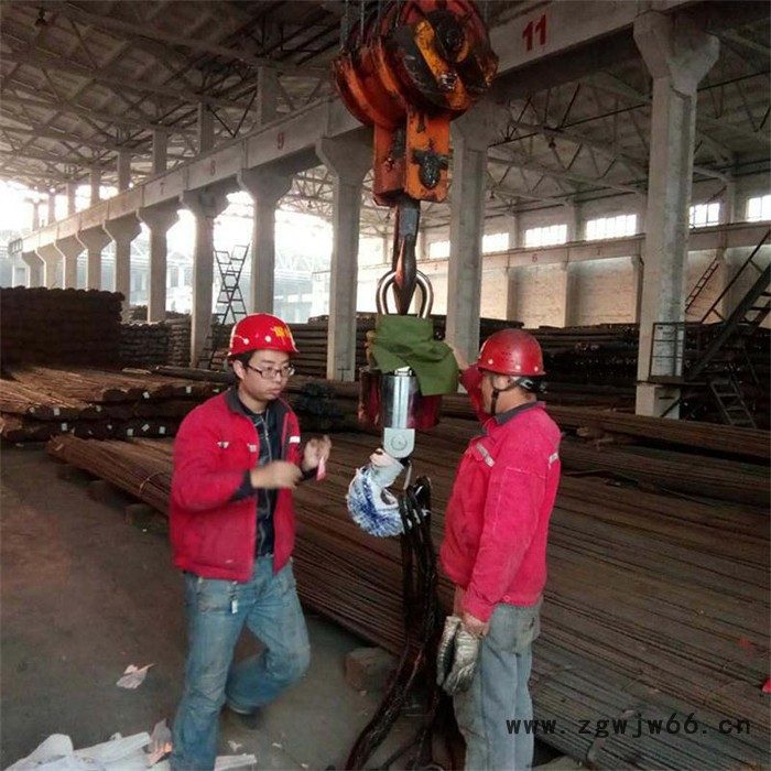 鼎东 行车称重电子吊秤 无线打印吊秤 无线吊钩秤厂家直供图6