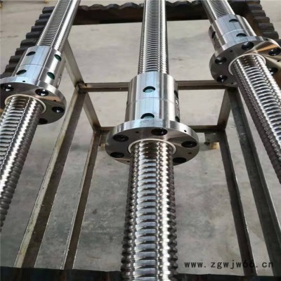 厂家供应 邯郸市 滚珠丝杆 SFE2550 国产 机床丝杠 现货供应