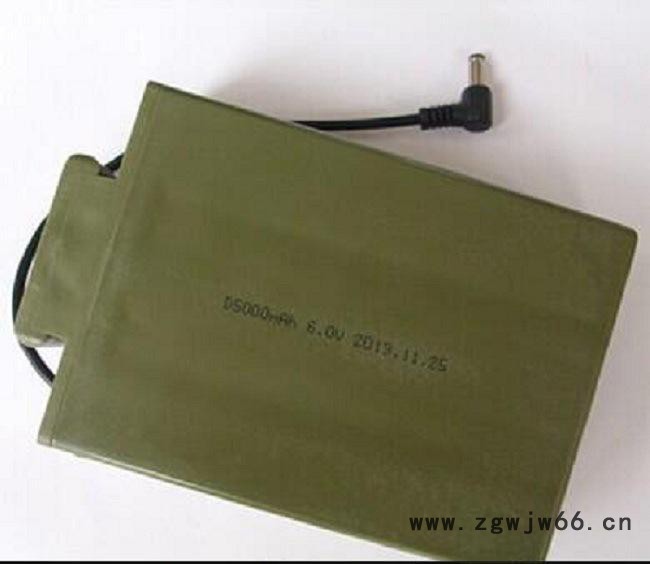 无线吊秤  吊钩秤专用电池 仪表 充电器信阳市报价图2