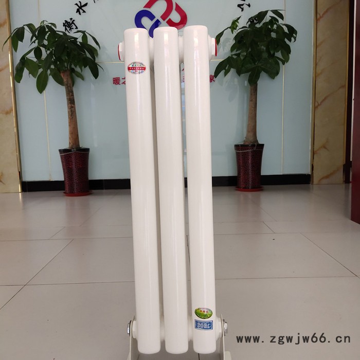 钢二柱型暖气片 GZ207 钢柱暖气片 柱型散热器  暖之春  生产厂家图2