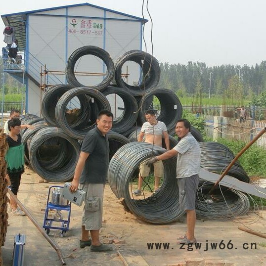 山东无线吊钩秤 10吨电子吊磅厂家包邮 日照塔吊挂钩秤 电子吊秤厂家图2