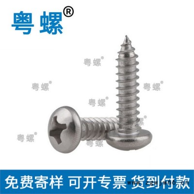 盘头自攻螺丝 广州304不锈钢螺丝厂家 十字槽盘头自攻螺丝钉 粤螺吊钩螺丝