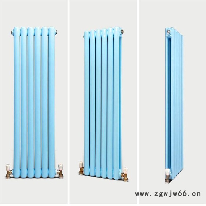 全国供应 钢柱散热器 钢两柱散热器 GZ2-1.2/5图4