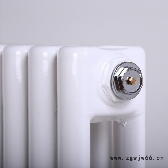 全国供应 钢柱散热器 钢两柱散热器 GZ2-1.2/5图7