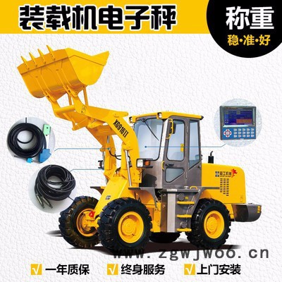 宁力 定量包装秤 汽车衡 批发小地磅 吊钩秤图2