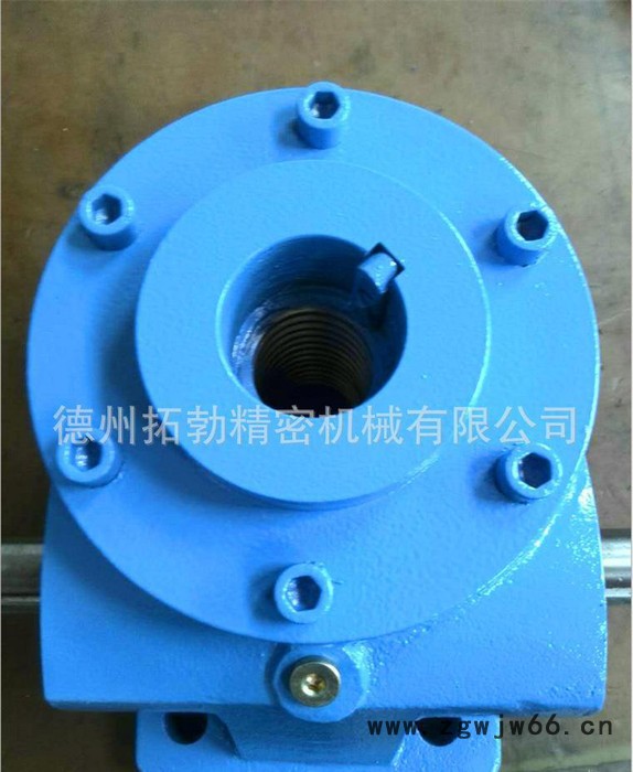 拓勃精密JWB200滚珠丝杠升降机|高速滚珠丝杠升降机图3