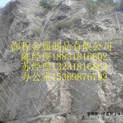 被动环形网系统的钢柱及拉锚绳安装   /主动柔性防护网/柔性主动防护网