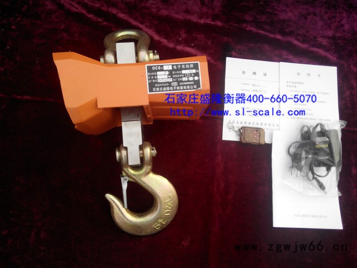 供应盛隆衡器电子吊钩秤图2