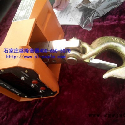 供应盛隆衡器电子吊钩秤