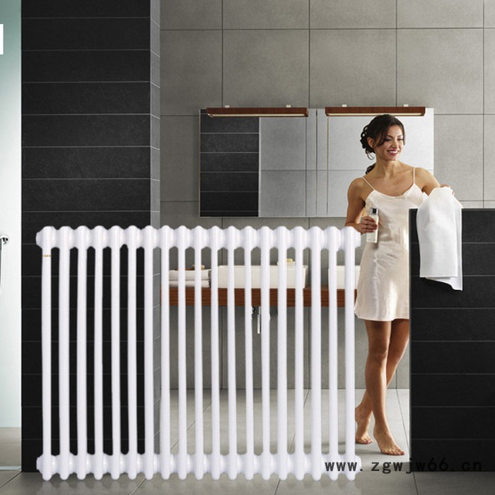 中春 GZ314 供应 钢三柱暖气片 钢柱暖气片 钢三柱暖气片参数 钢制暖气片 中心距600mm 壁厚国标1.5mm图3