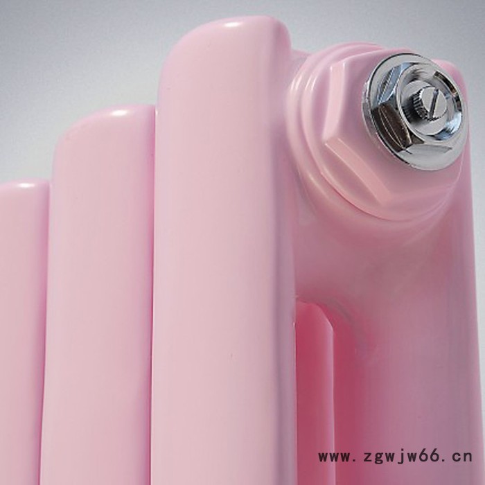 【中春国标】 专业供应  钢二柱暖气片 钢柱式散热器   钢制暖气片  散热器  新型暖气片   钢二柱散热器 各种型号图5