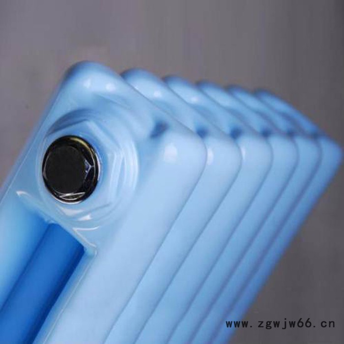 【中春国标】 专业供应  钢二柱暖气片 钢柱式散热器   钢制暖气片  散热器  新型暖气片   钢二柱散热器 各种型号图2