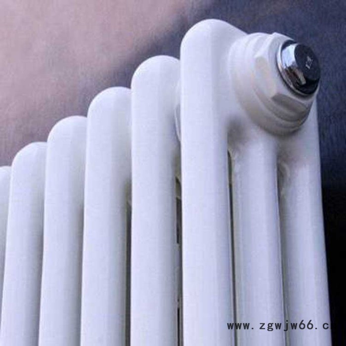 暖气片  钢制二柱暖气片 家用立式钢制暖气片 工程钢制二柱暖气片 工程水暖散热器 钢柱型暖气片图2