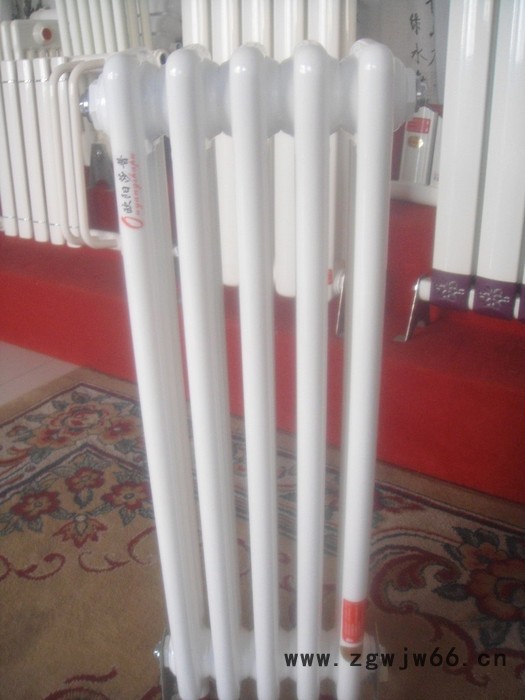 欧阳莎普钢柱型散热器 钢二柱暖气片 钢制散热器厂家    工程双柱暖气片图2