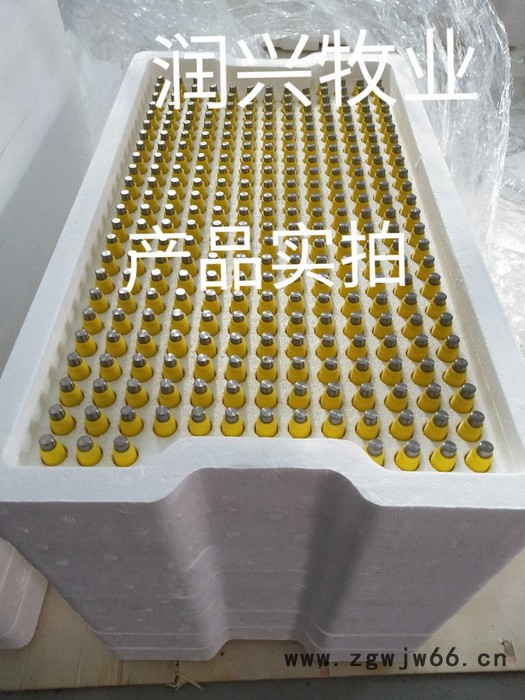 润兴养殖设备鸡乳头式饮水器360出水鸡用锥阀式饮水器钢球式饮水器钢柱乳头式饮水器