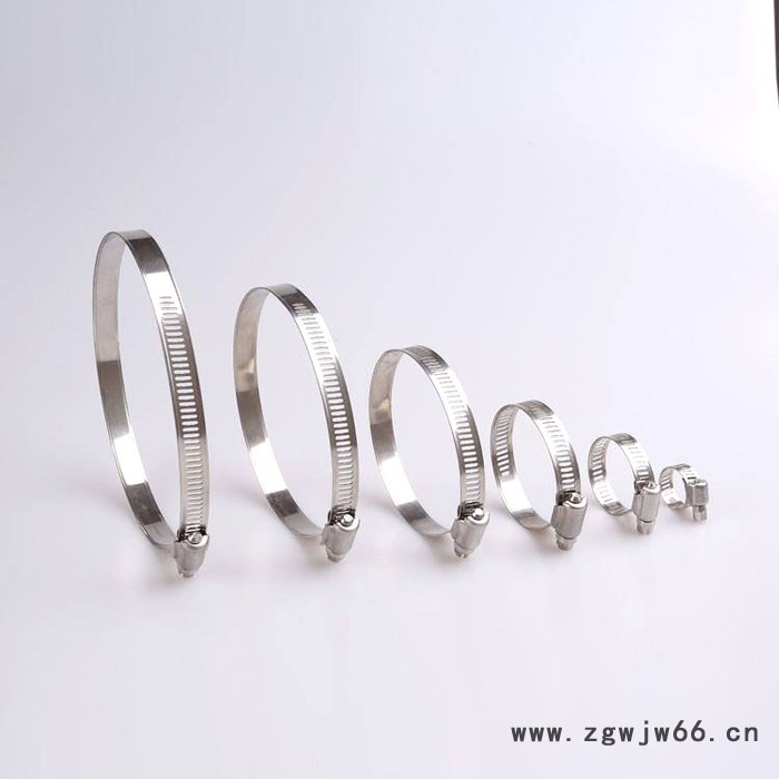 不锈钢蝶形螺丝杆、卫生级冲压卡箍蝶形螺丝图5