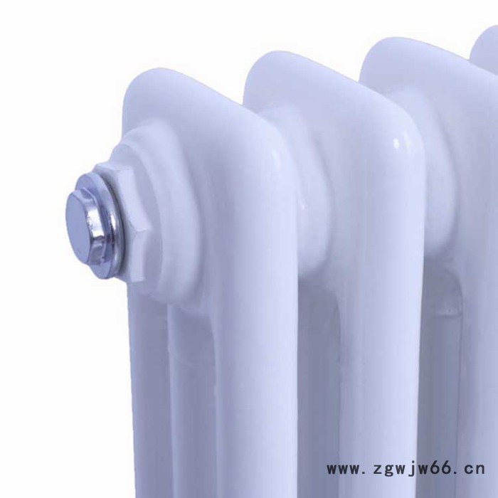源头厂家 冬季暖气片 钢制柱型暖气片 钢制柱型散热器 批发家用型铸铁暖气片 钢柱型暖气片 柱式钢二柱暖气片图2