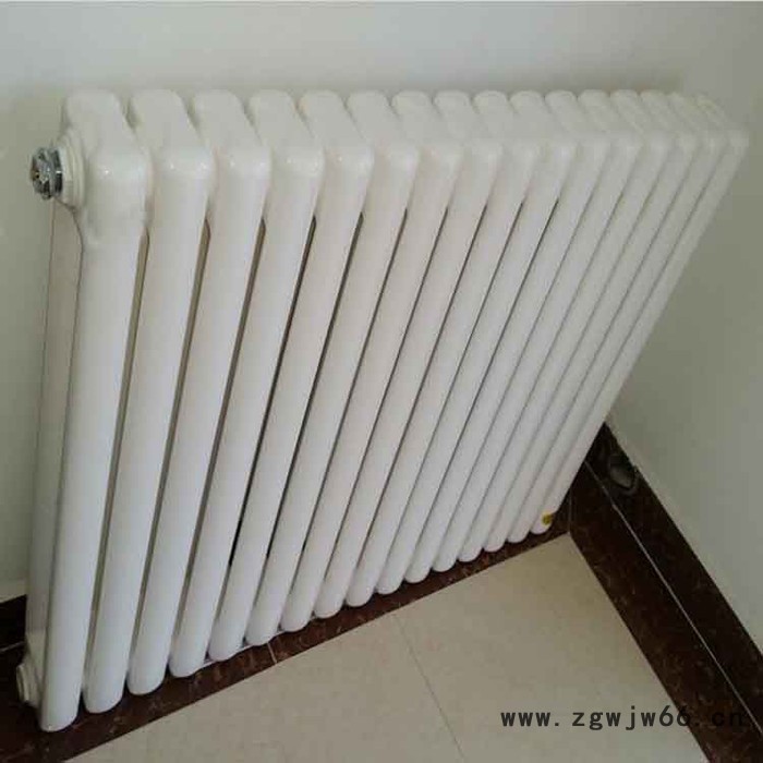 暖气片  立式钢二柱暖气片 低碳钢制暖气片 双层防腐家用钢制散热器 蒸汽暖气片 钢柱型暖气片图2