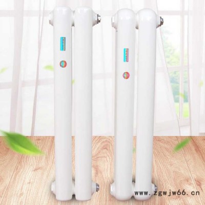 钢二柱暖气片 GZ2-60x30钢柱柱形暖气片 低碳钢暖气片 壁挂式暖气片 暖气片生产厂家