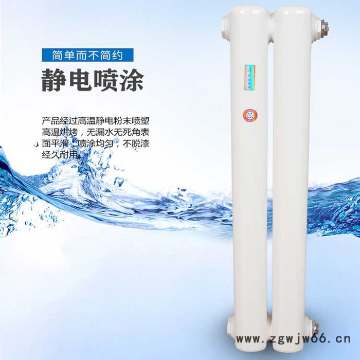 钢二柱暖气片 GZ2-60x30钢柱柱形暖气片 低碳钢暖气片 壁挂式暖气片 暖气片生产厂家图4