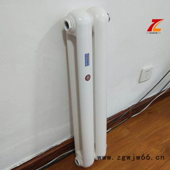 钢二柱暖气片 GZ2-60x30钢柱柱形暖气片 低碳钢暖气片 壁挂式暖气片 暖气片生产厂家图2