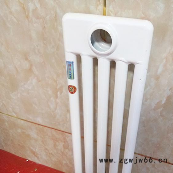 钢二柱暖气片 GZ2-60x30钢柱柱形暖气片 低碳钢暖气片 壁挂式暖气片 暖气片生产厂家图3