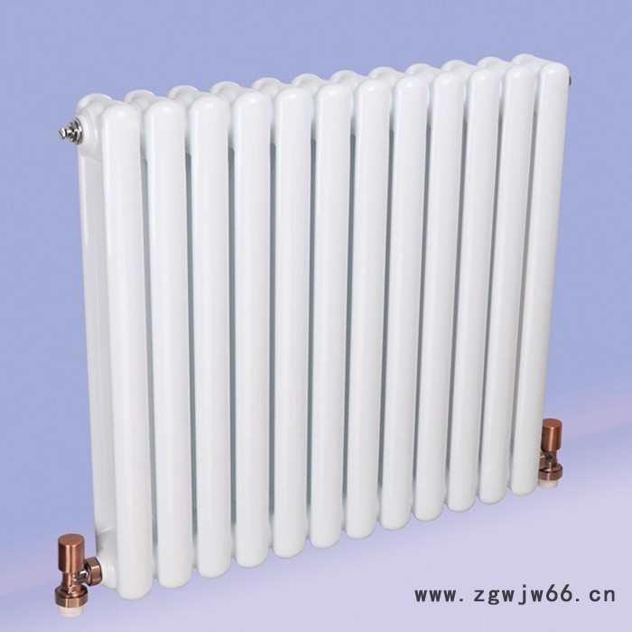 【中春】钢二柱暖气片 散热器 钢制柱暖气片 钢二柱散热器 钢柱暖气片图2