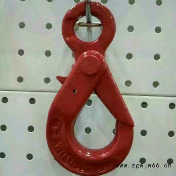 天铎起重DHS-20A 起重吊钩  起重机专用吊钩直销图4